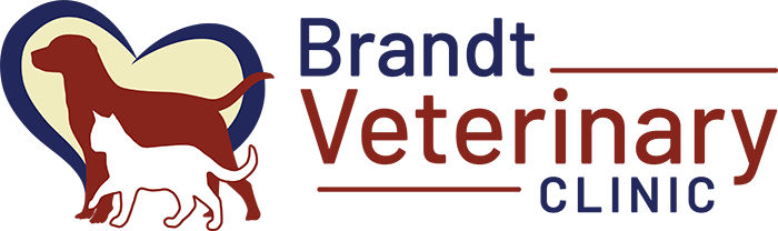 Brandt Veterinary Clinic