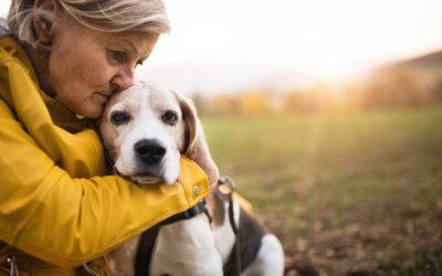 Choosing Compassion: The Ultimate Act of Adopting a Senior Pet